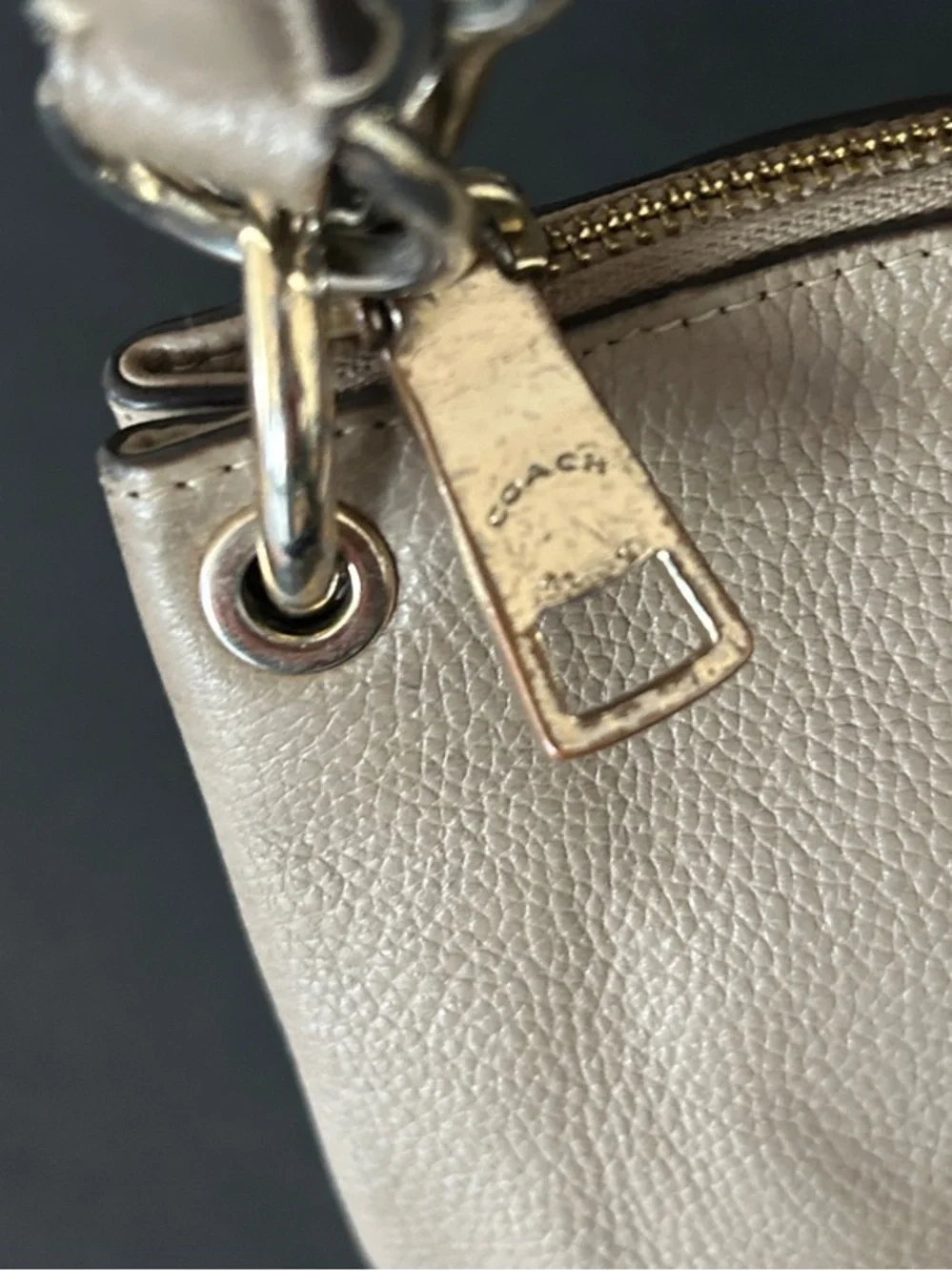 Coach Leather Crossbody Bag in Taupe with Embossed Carriage